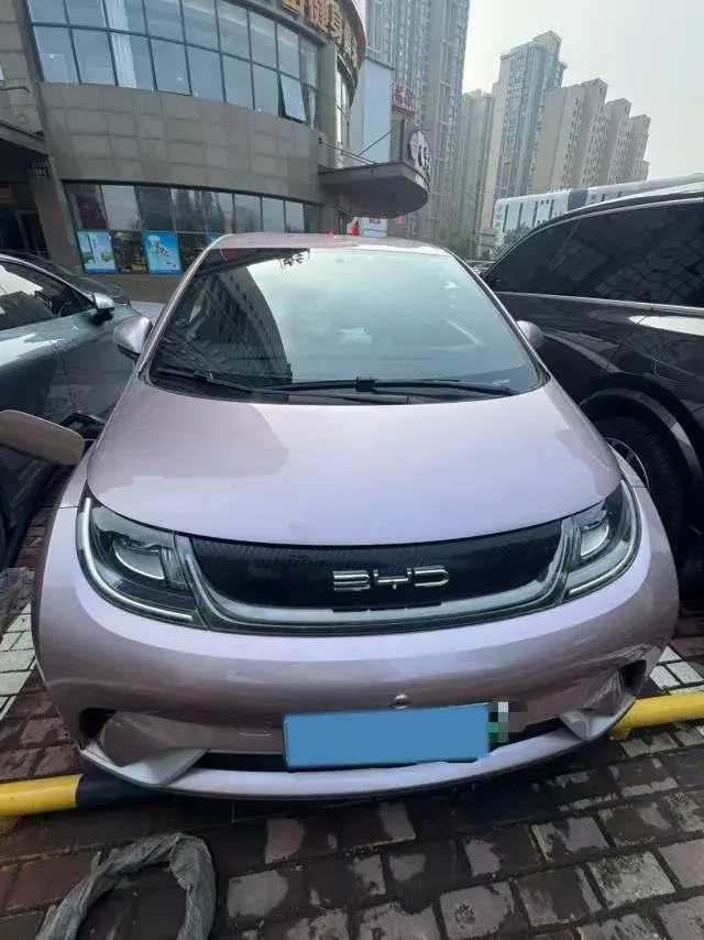 2023 BYD DOLPHIN thumbnail 2