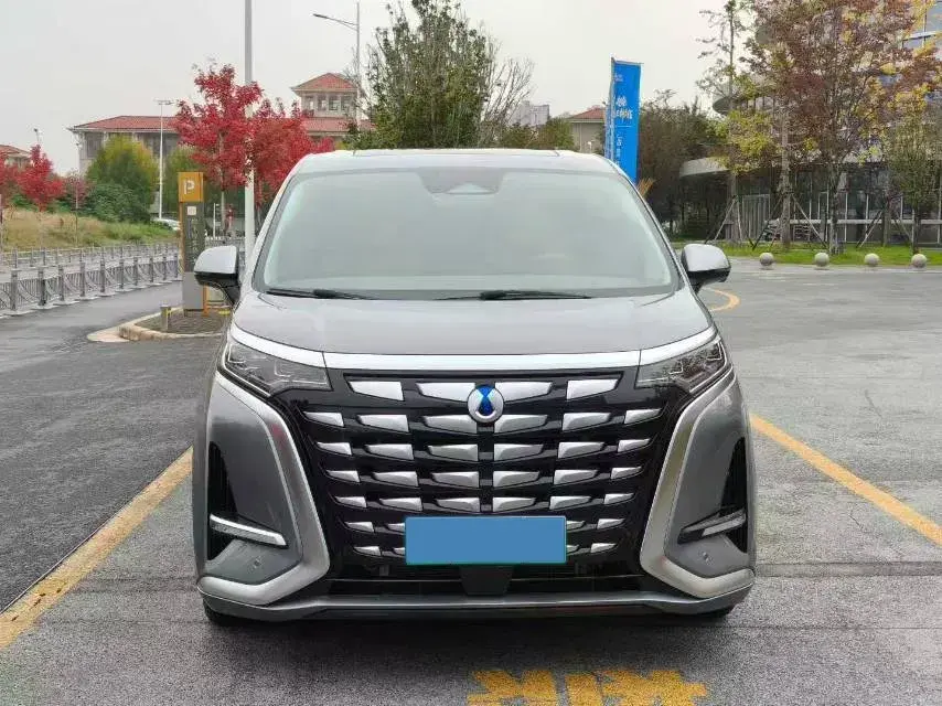 2022 DENZA D9 thumbnail 2