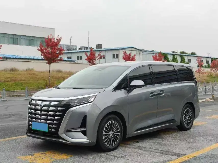 2022 DENZA D9 view 1