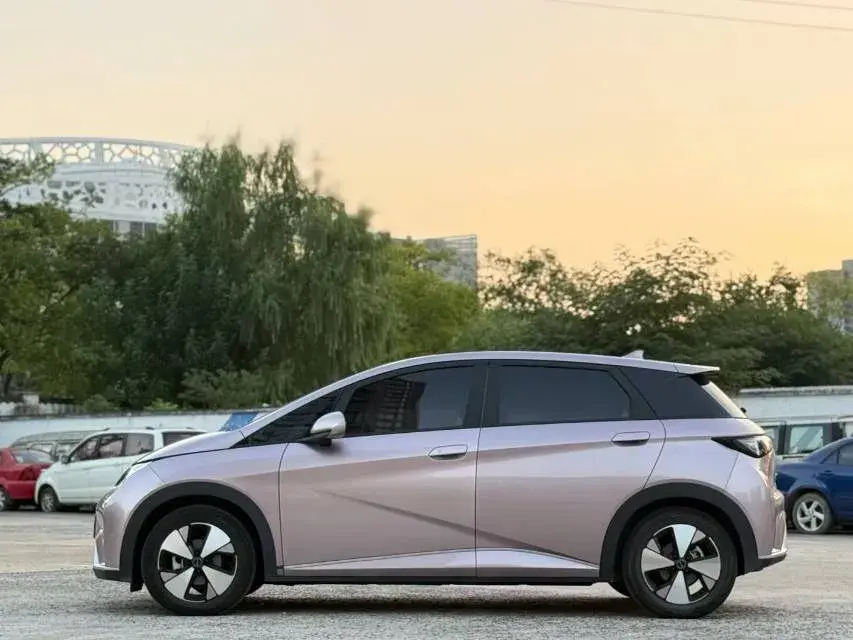 2021 BYD DOLPHIN thumbnail 2