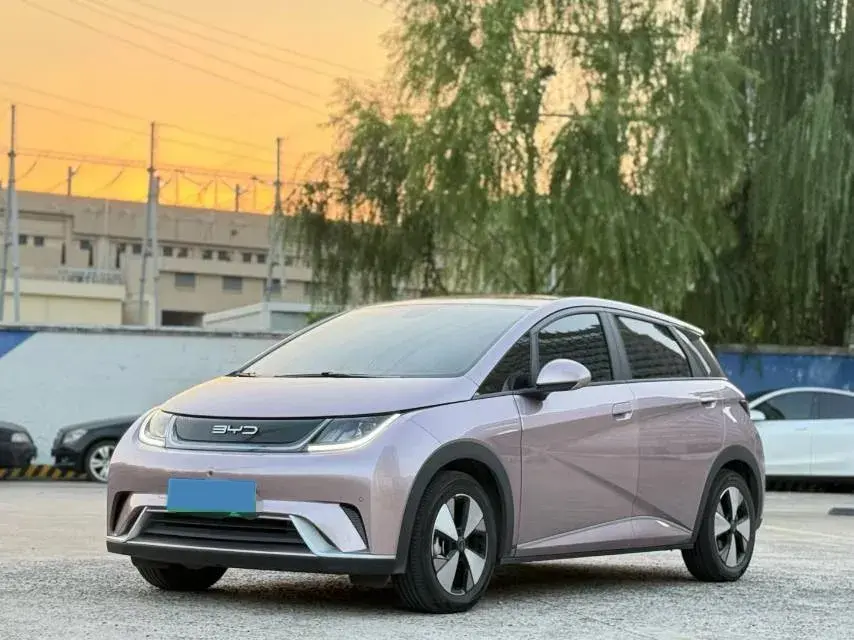 2021 BYD DOLPHIN view 1