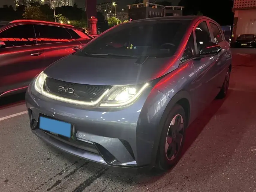 2025 BYD DOLPHIN view 1