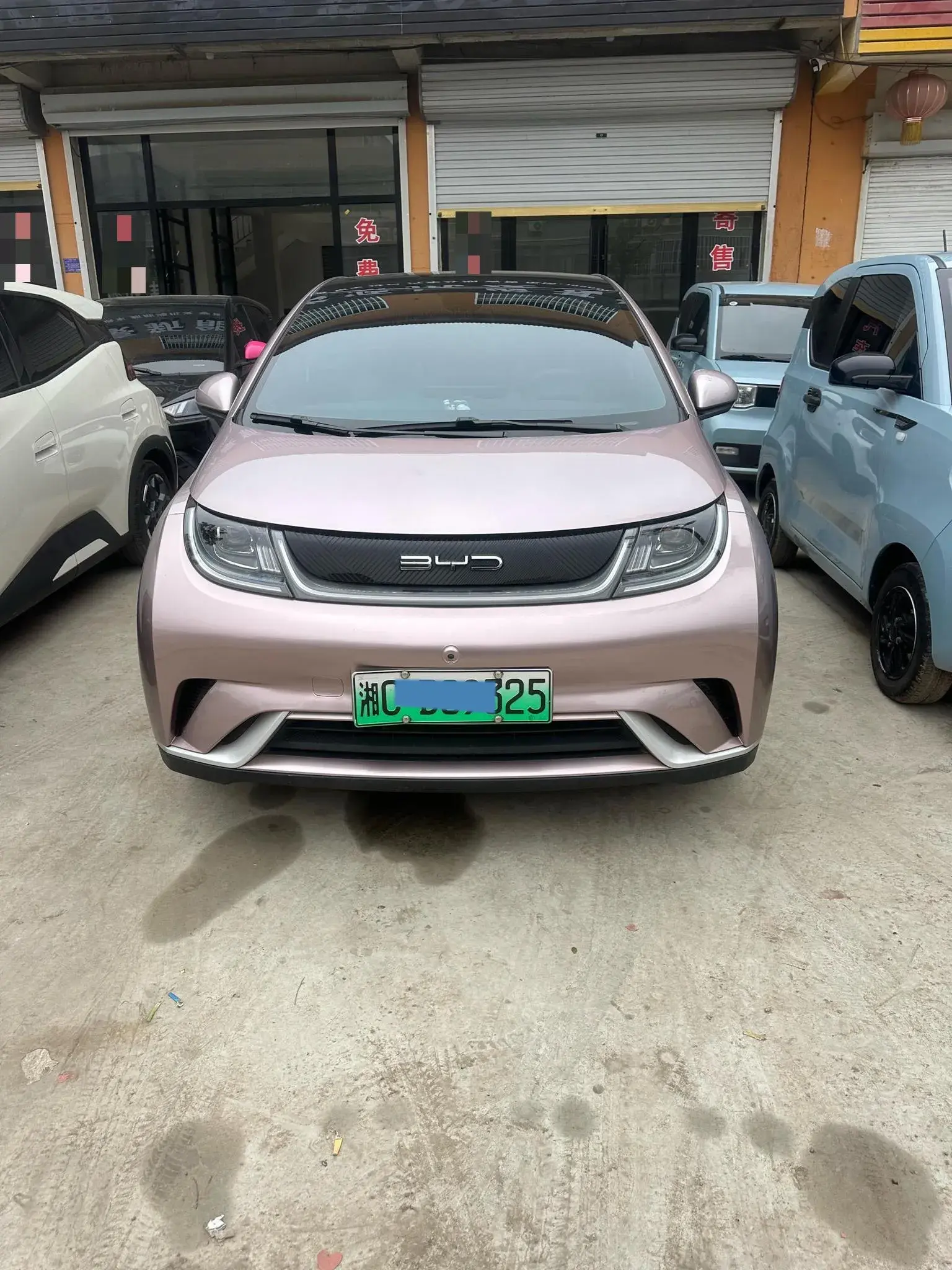 2023 BYD DOLPHIN thumbnail 3