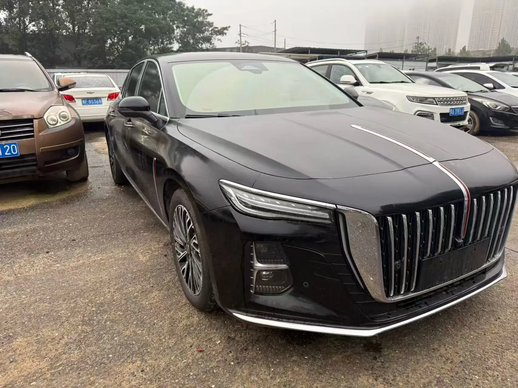 2025 HONGQI H5 thumbnail 2