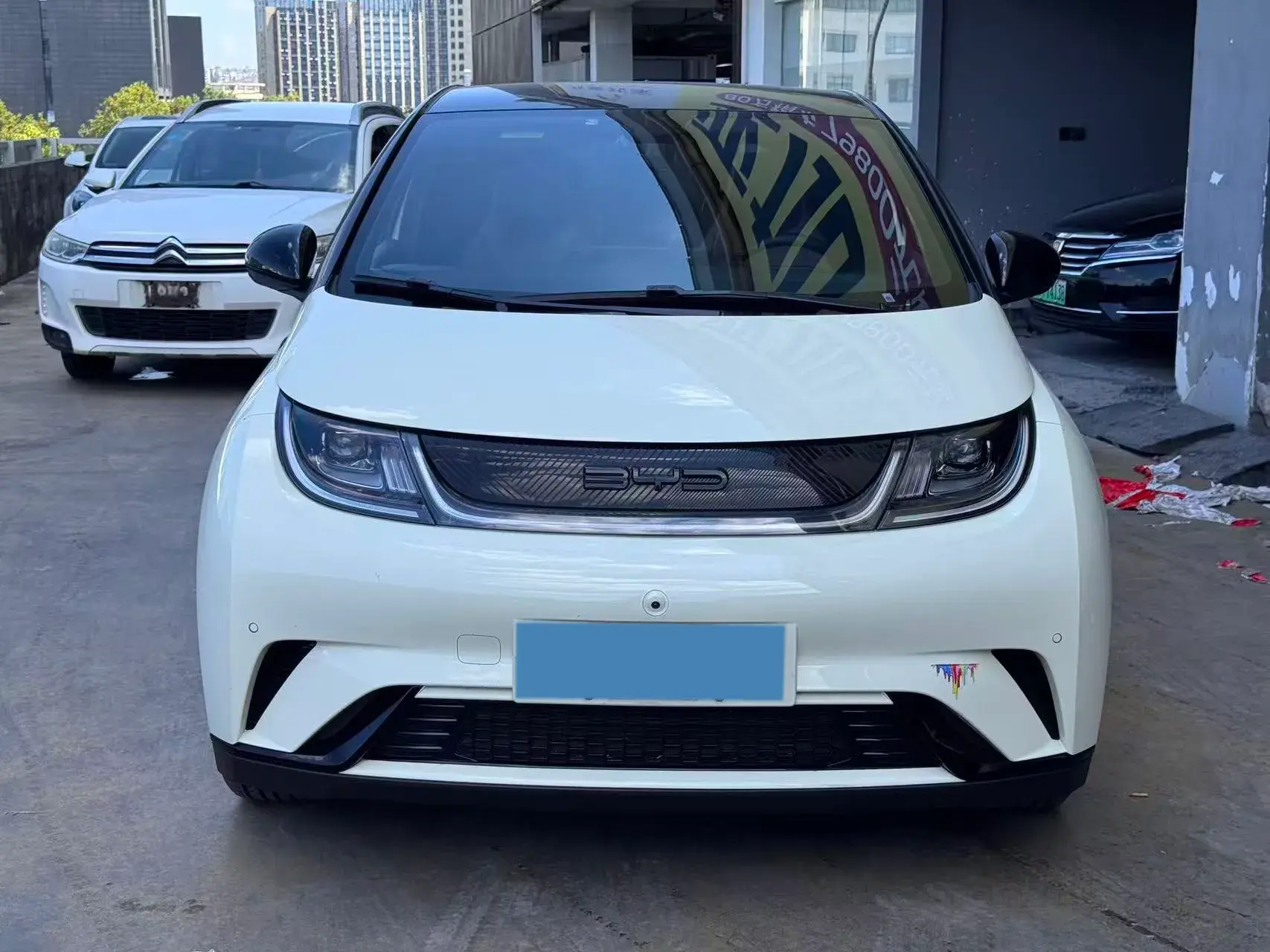 2023 BYD DOLPHIN thumbnail 2