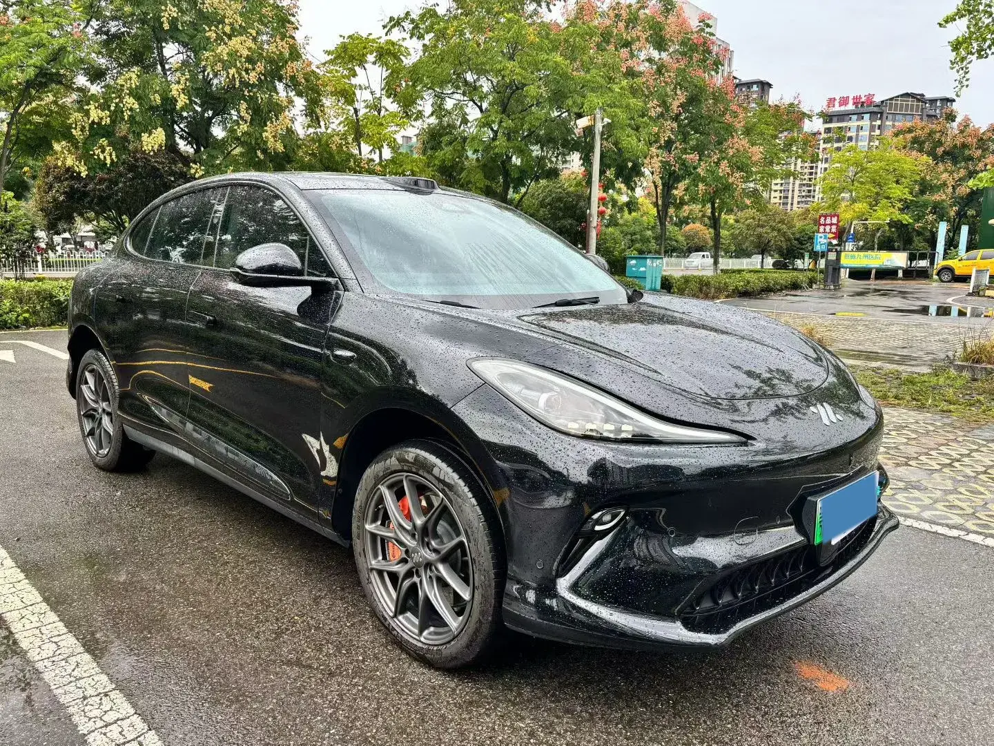 2025 IM LS6 thumbnail 3