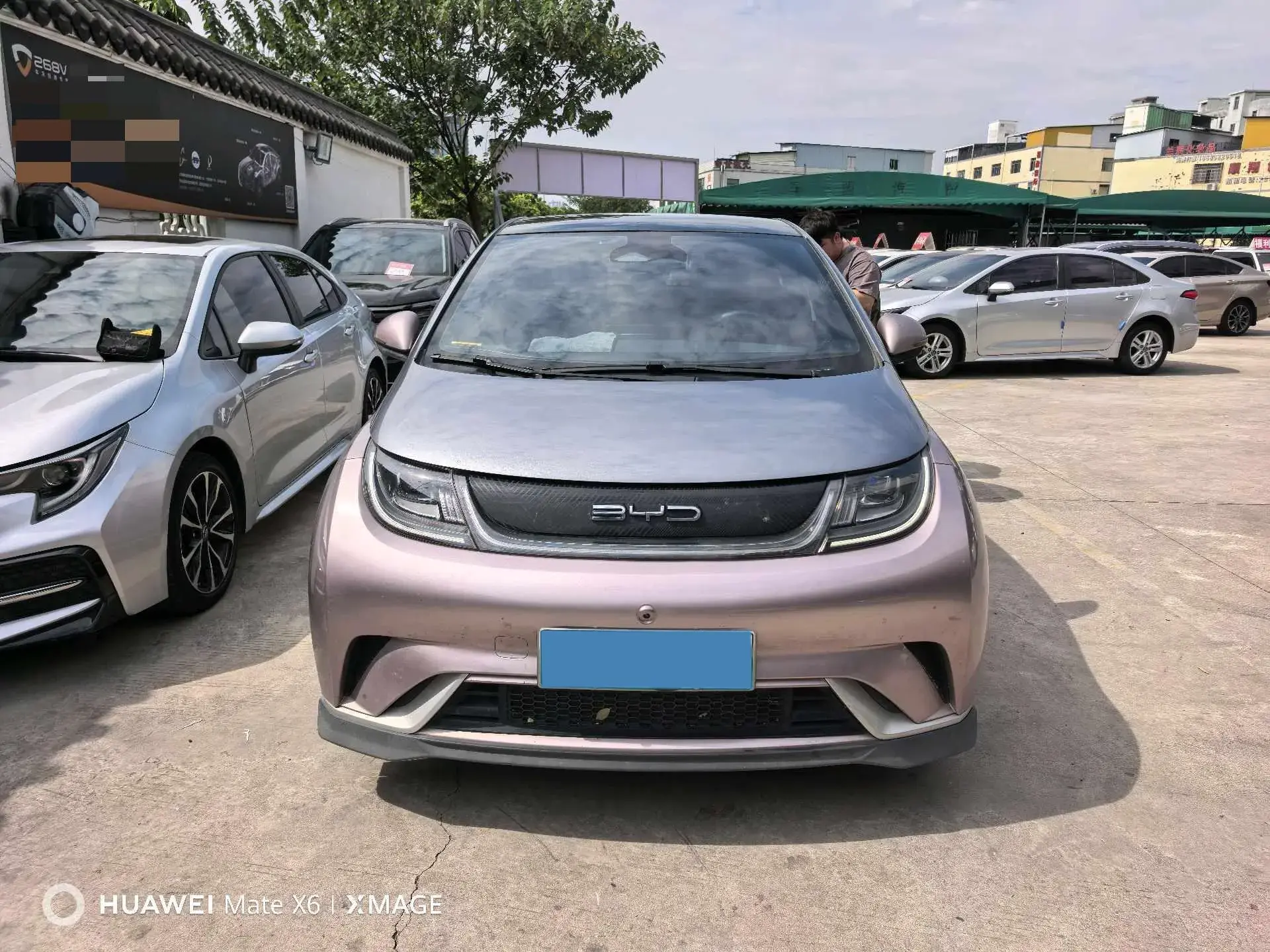 2021 BYD DOLPHIN thumbnail 2