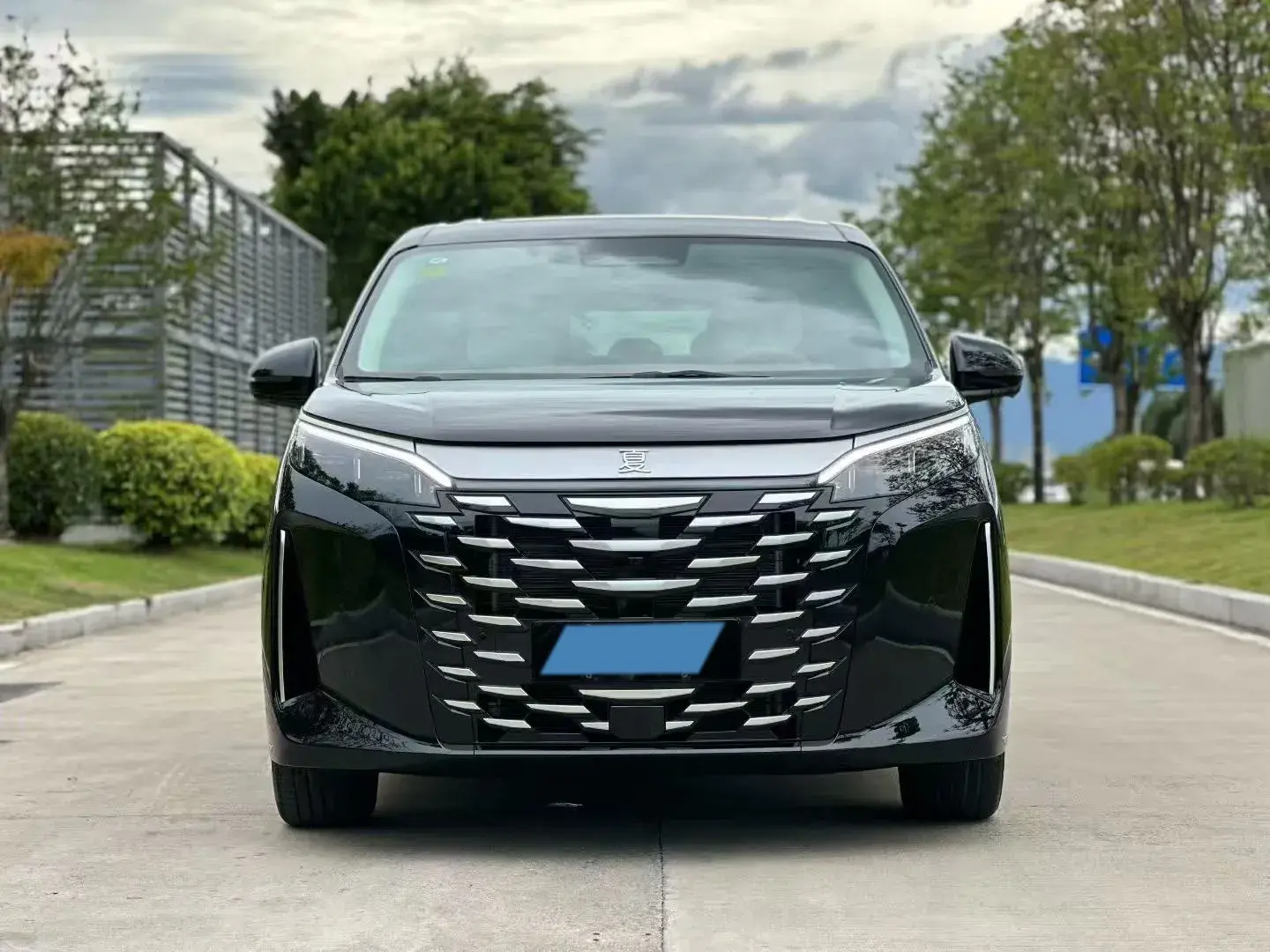 2025 BYD XIA thumbnail 2