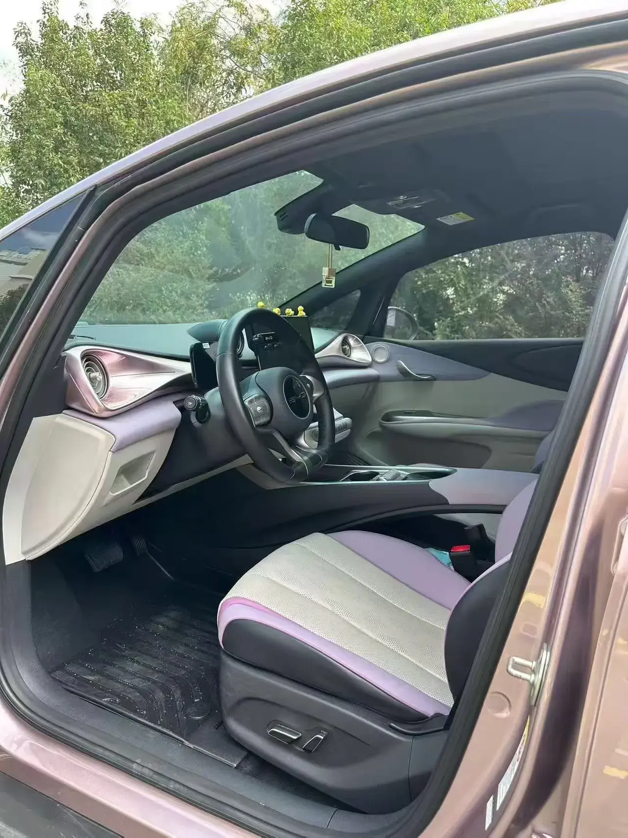 2023 BYD DOLPHIN thumbnail 4