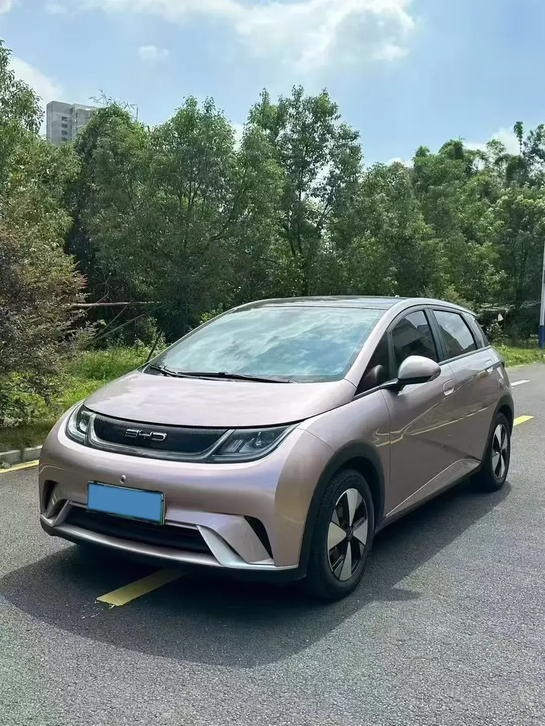 2023 BYD DOLPHIN view 1