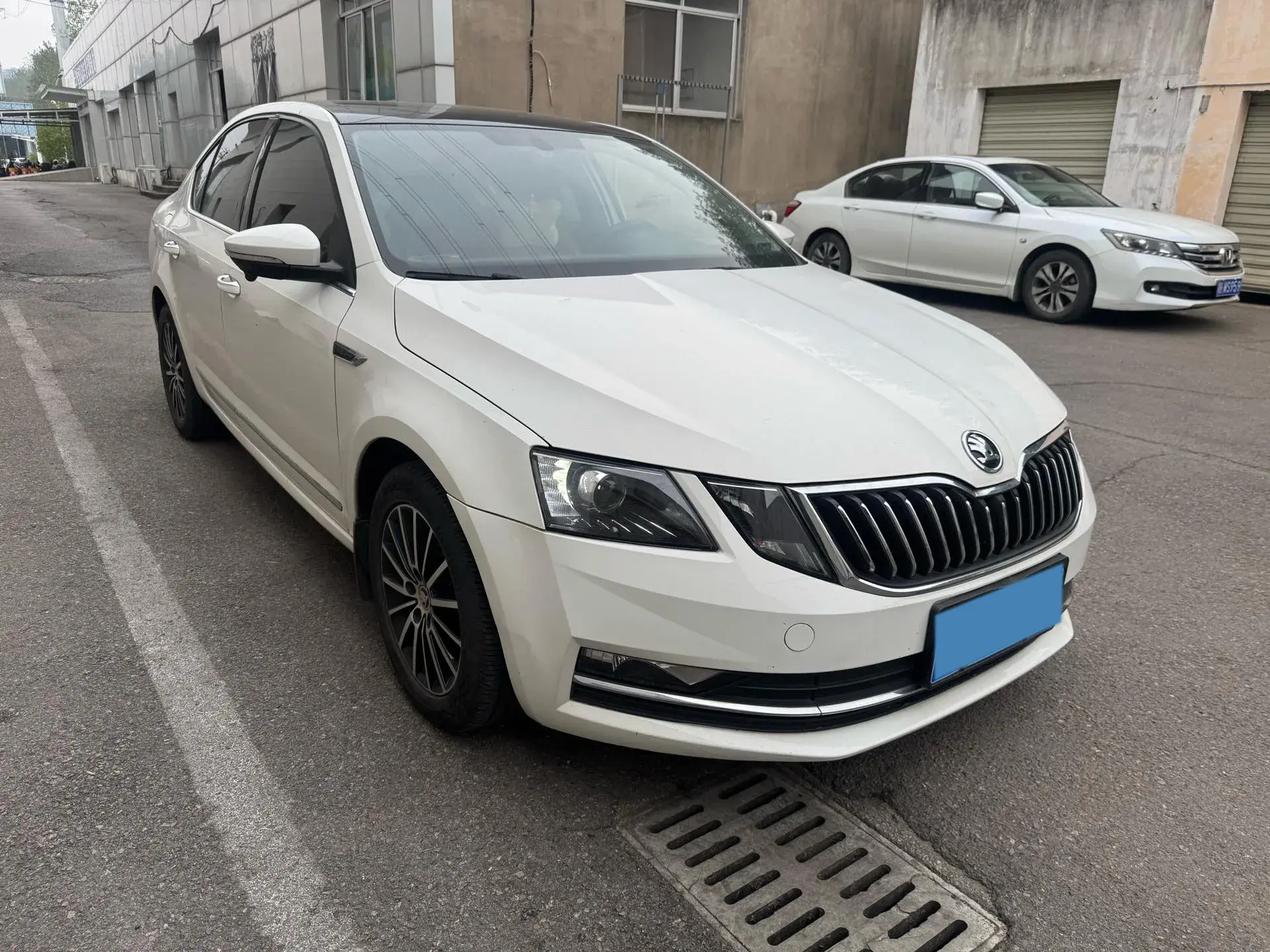 2019 SKODA OCTAVIA thumbnail 3