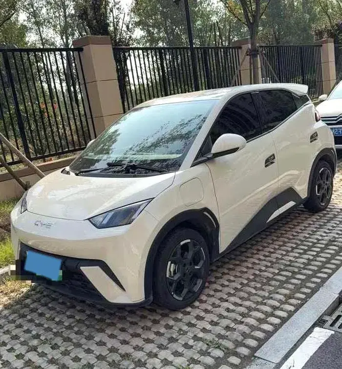 2024 BYD SEAGULL view 1