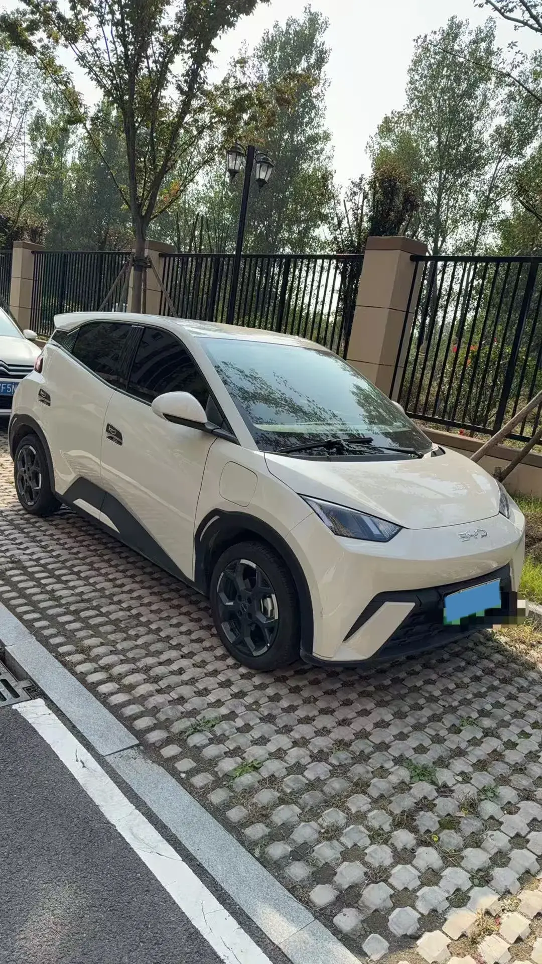 2024 BYD SEAGULL thumbnail 3