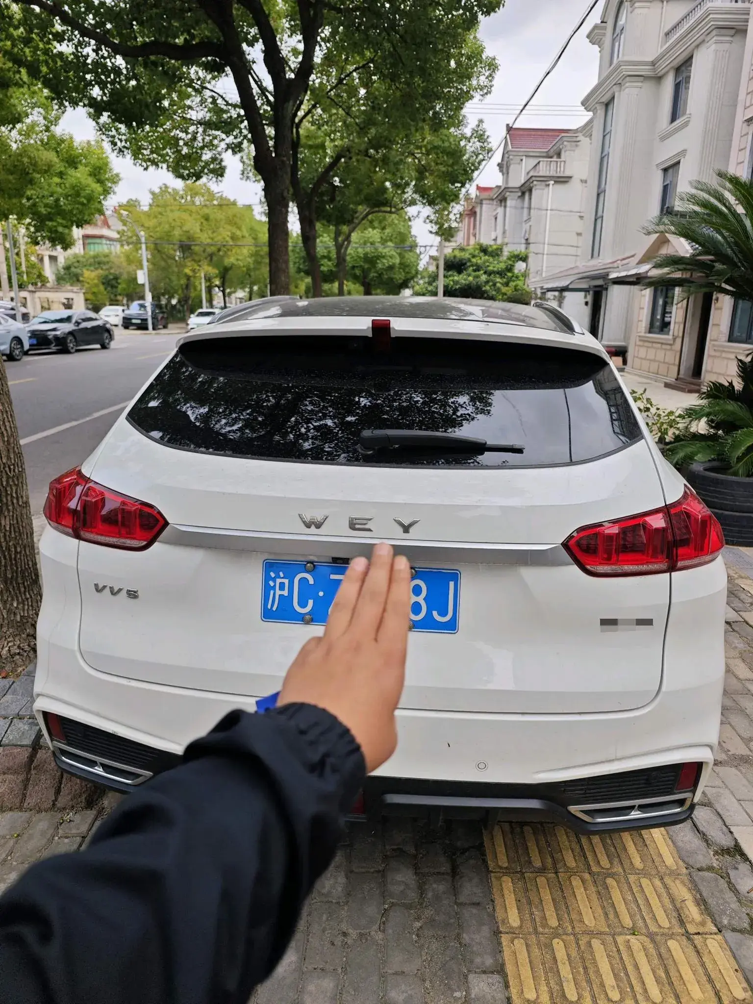 2020 WEY VV5 thumbnail 4