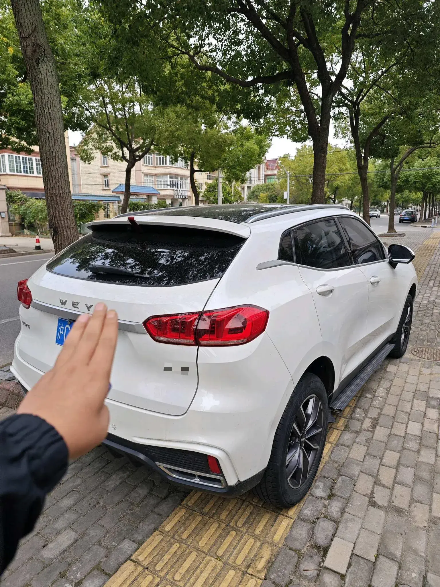 2020 WEY VV5 thumbnail 3