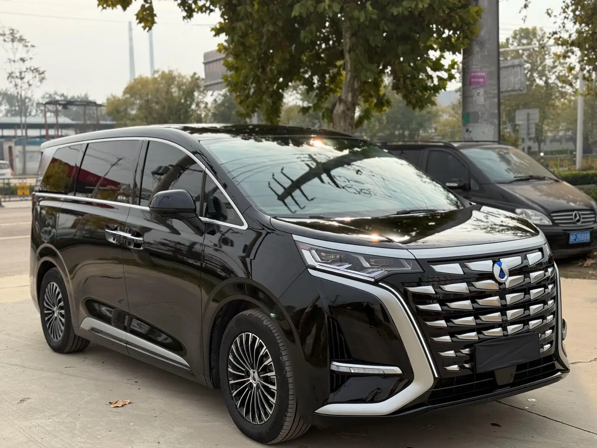 2024 DENZA D9 thumbnail 3