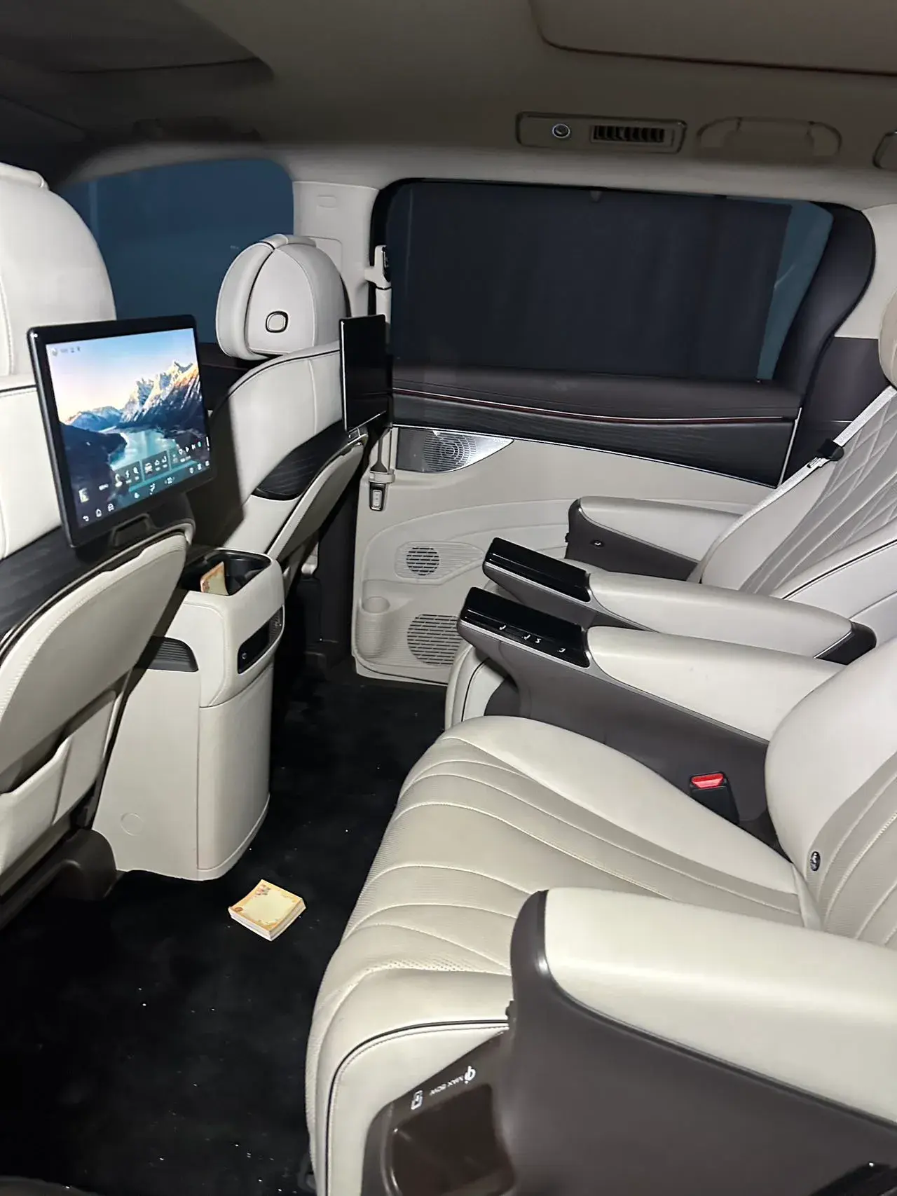 2024 DENZA D9 thumbnail 4