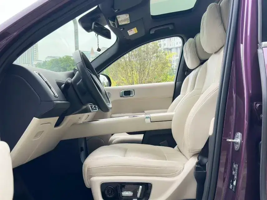 2022 LI L9 thumbnail 4