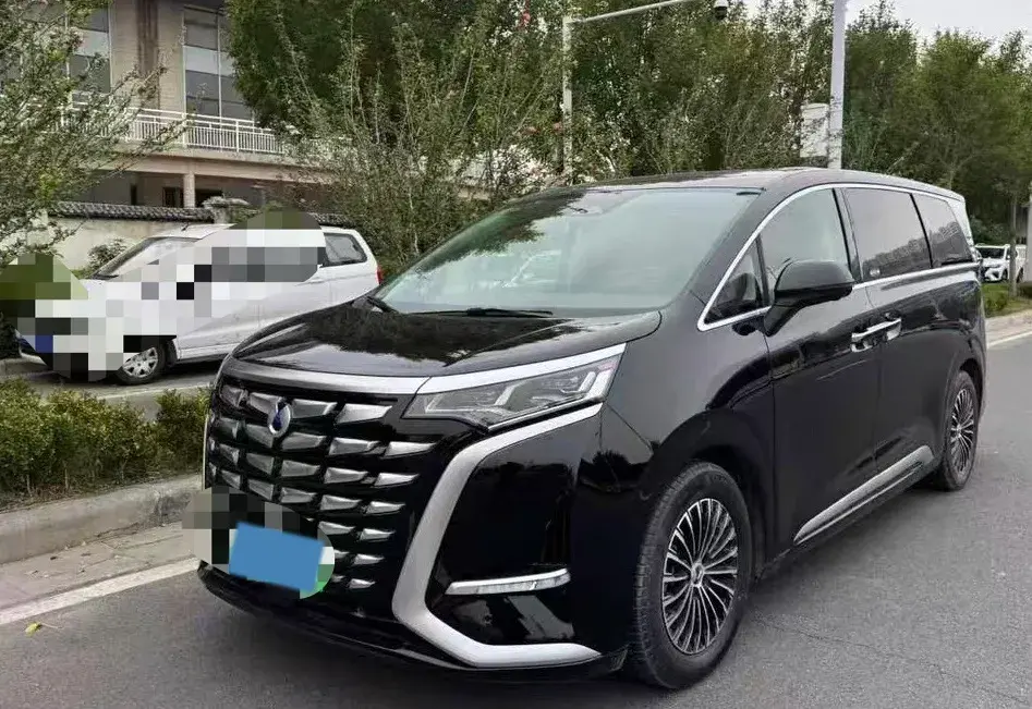 2024 DENZA D9 view 1