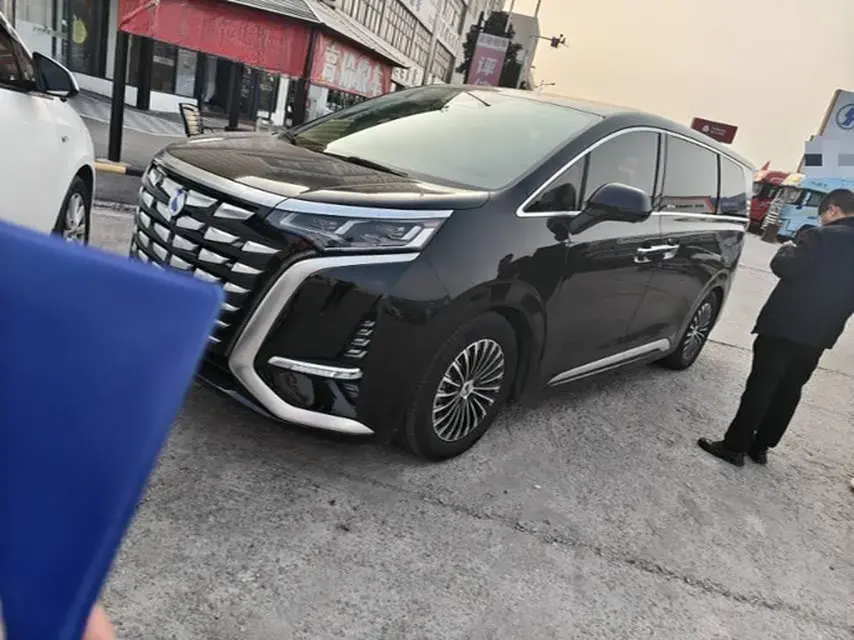 2024 DENZA D9 view 1