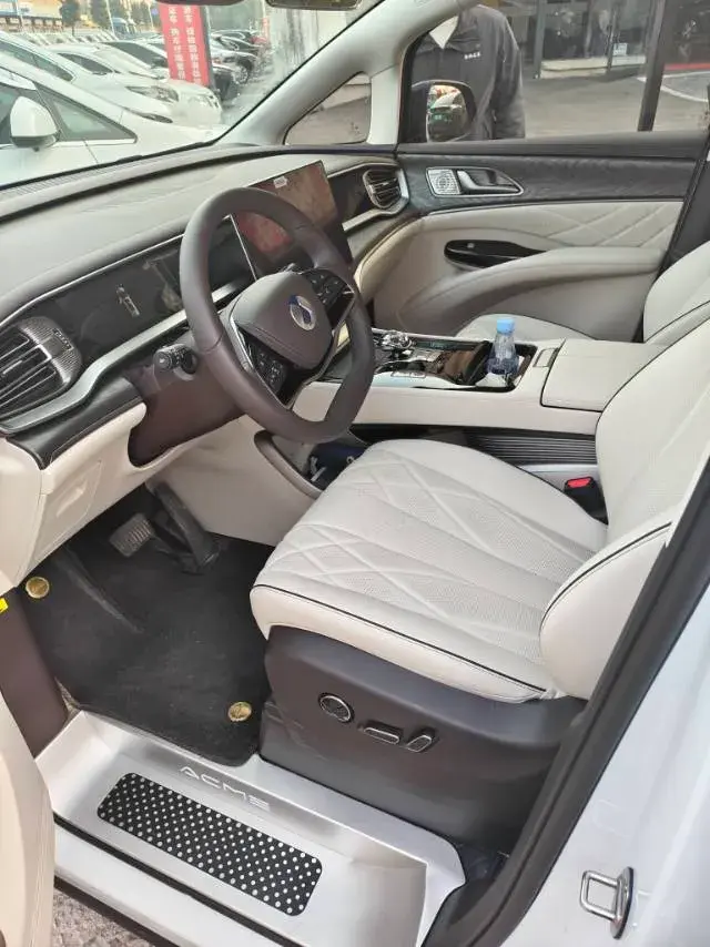 2024 DENZA D9 thumbnail 2