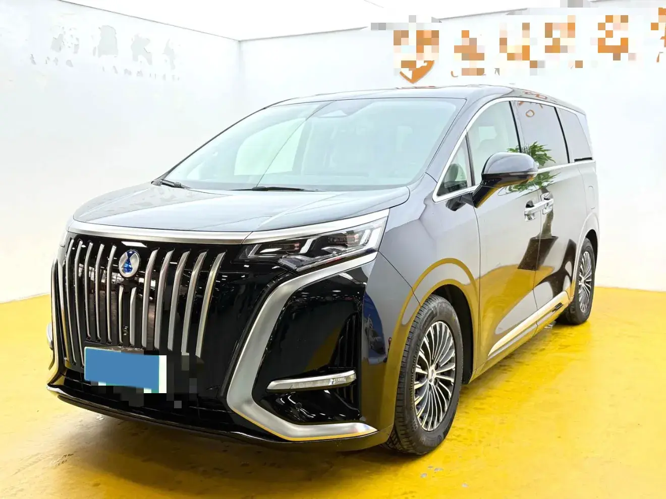 2024 DENZA D9 view 1