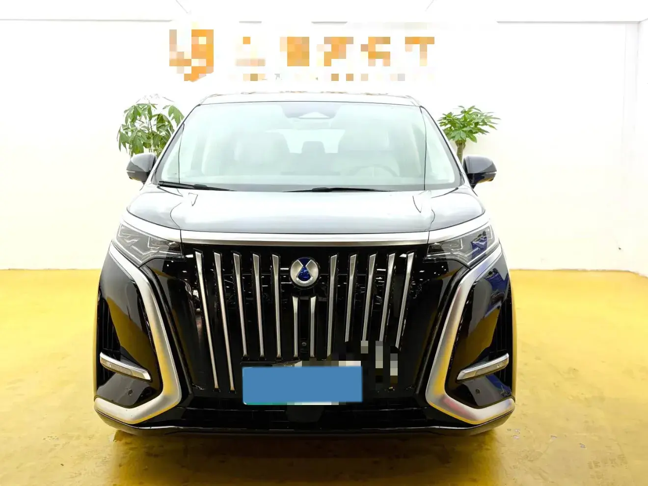 2024 DENZA D9 thumbnail 2