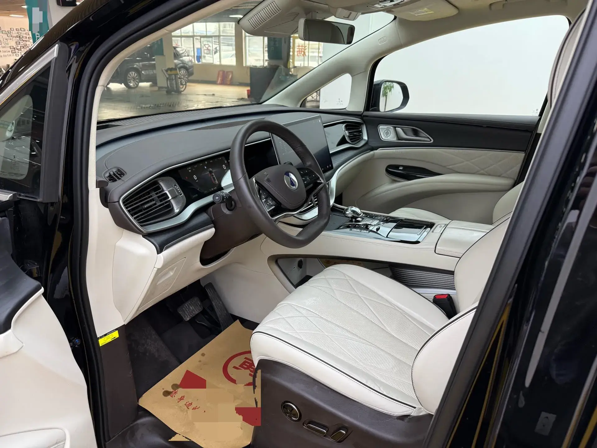 2024 DENZA D9 thumbnail 4