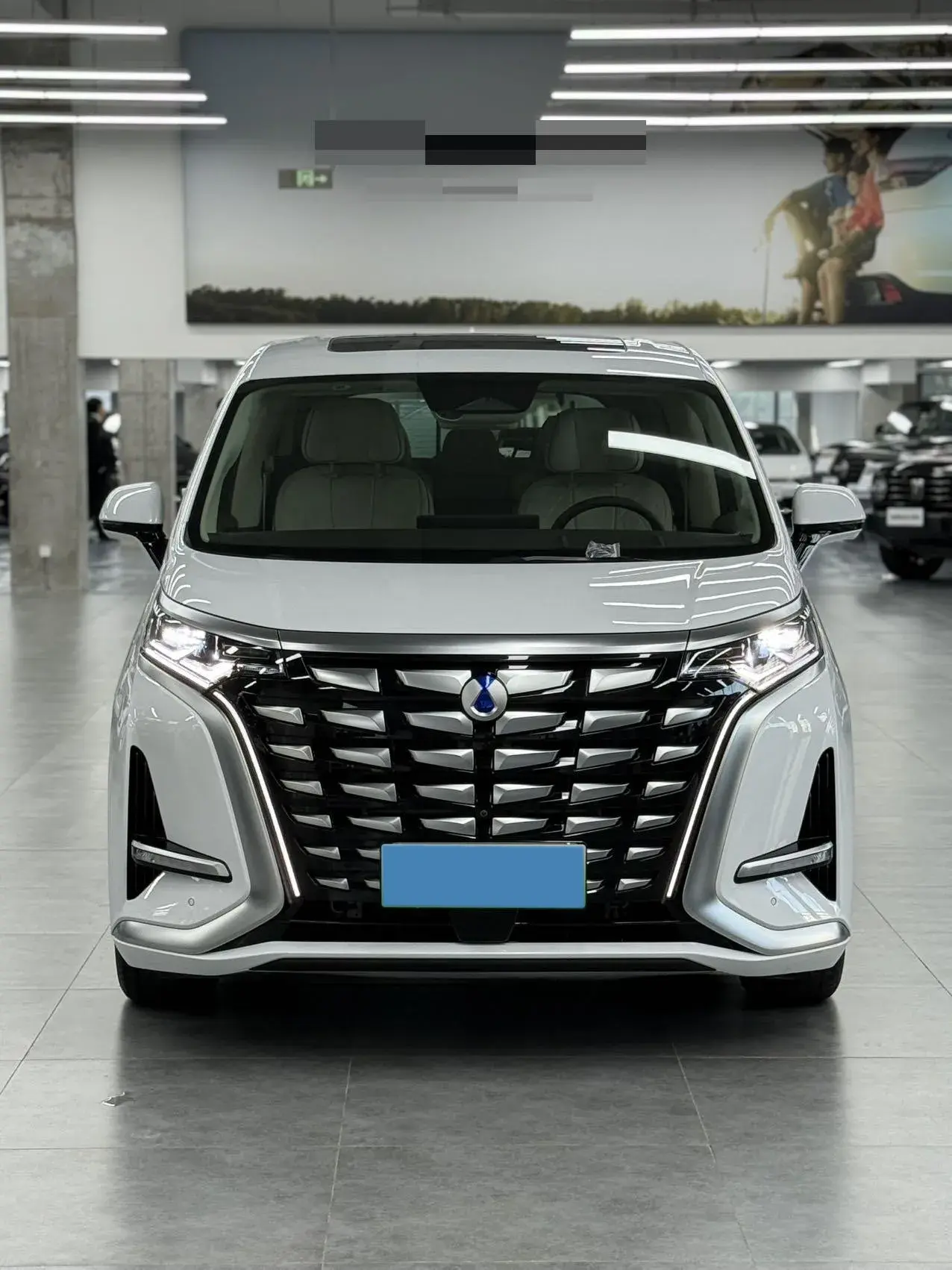 2024 DENZA D9 thumbnail 2