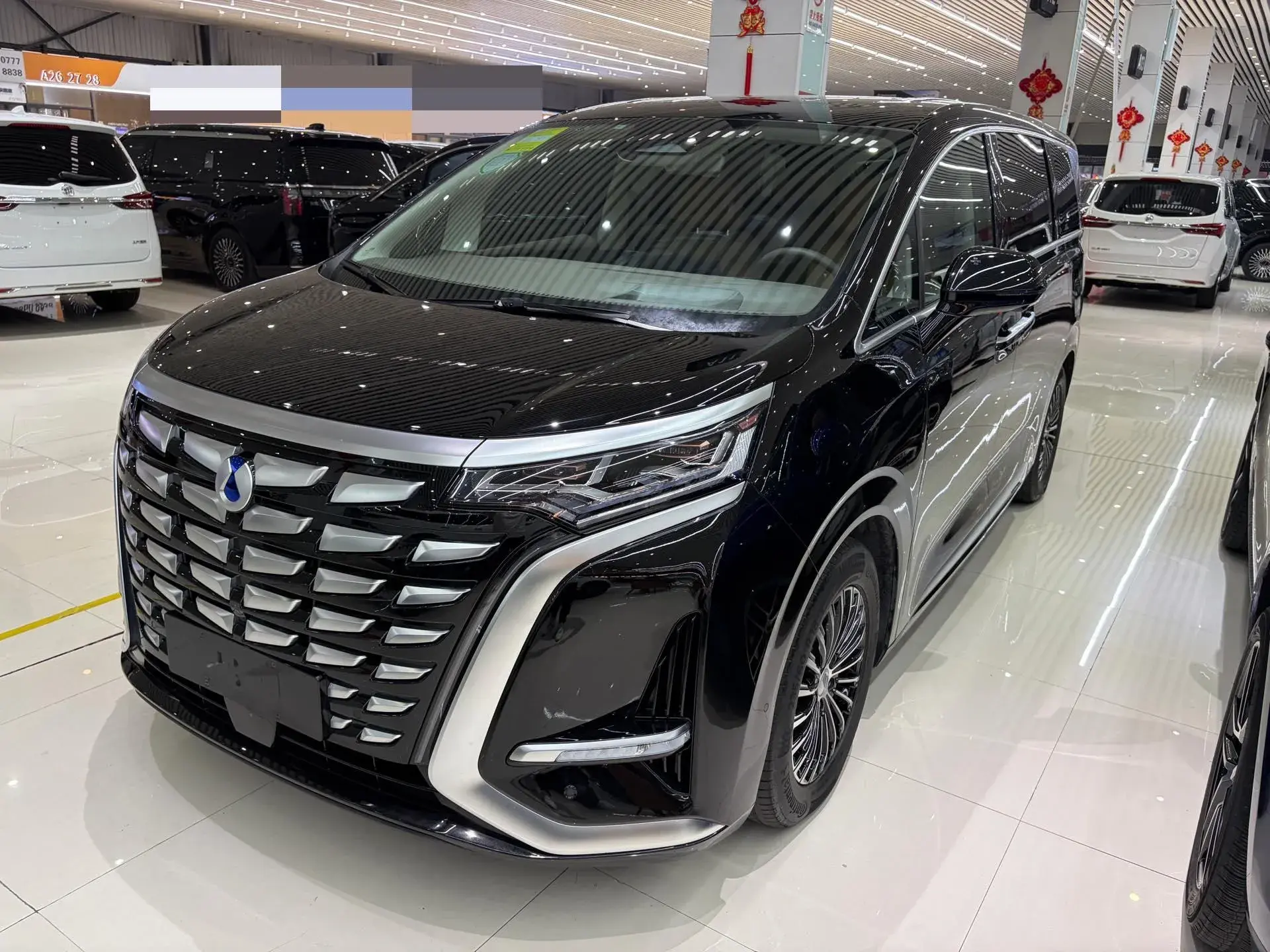 2022 DENZA D9 view 1