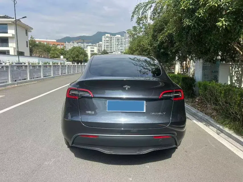 2024 TESLA MODEL thumbnail 4