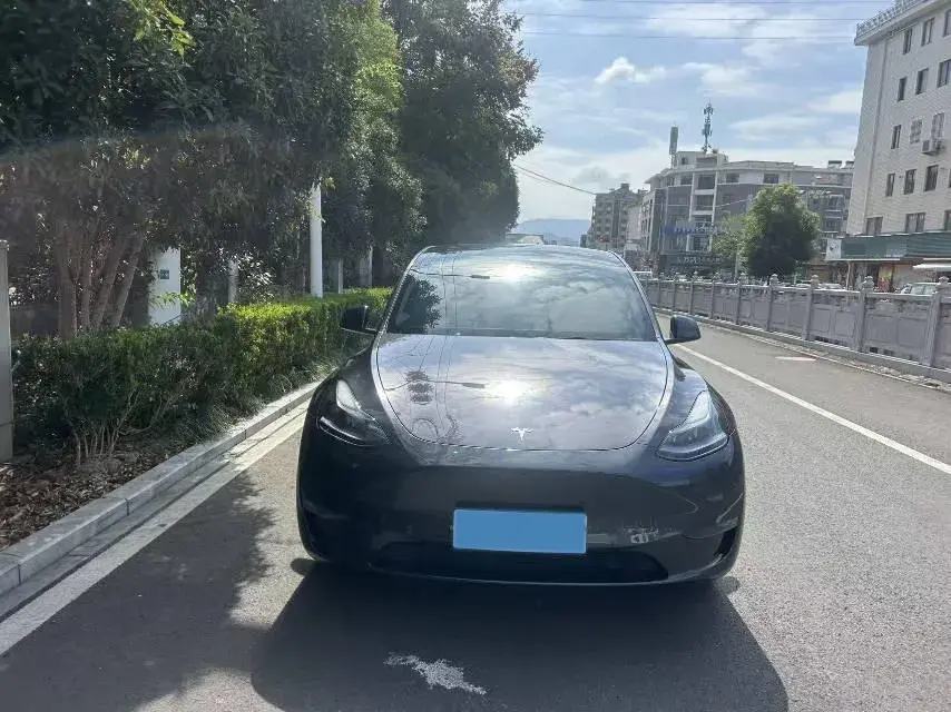 2024 TESLA MODEL thumbnail 2