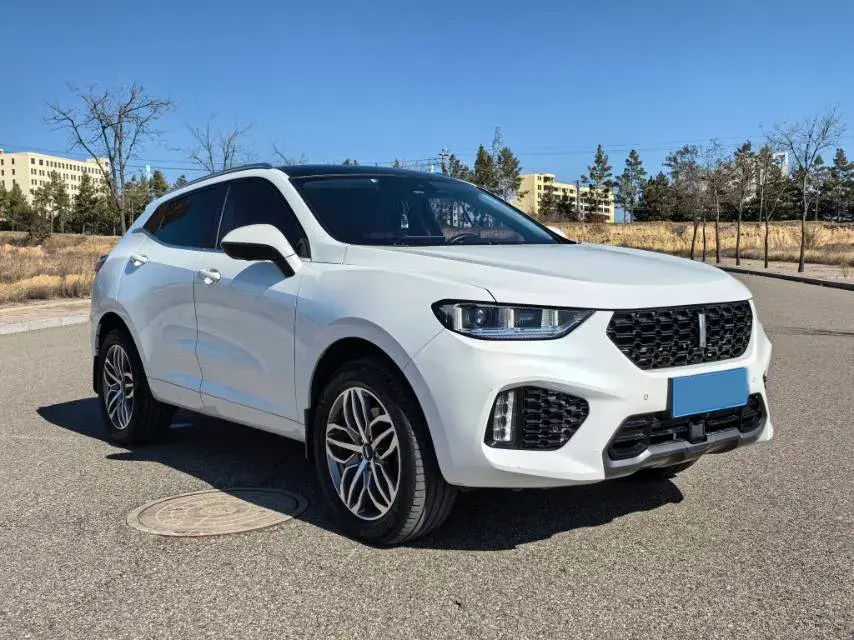 2019 WEY VV5 thumbnail 3