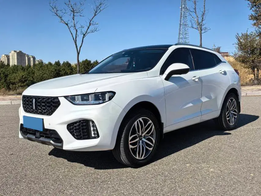 2019 WEY VV5 view 1
