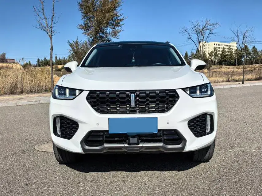 2019 WEY VV5 thumbnail 2