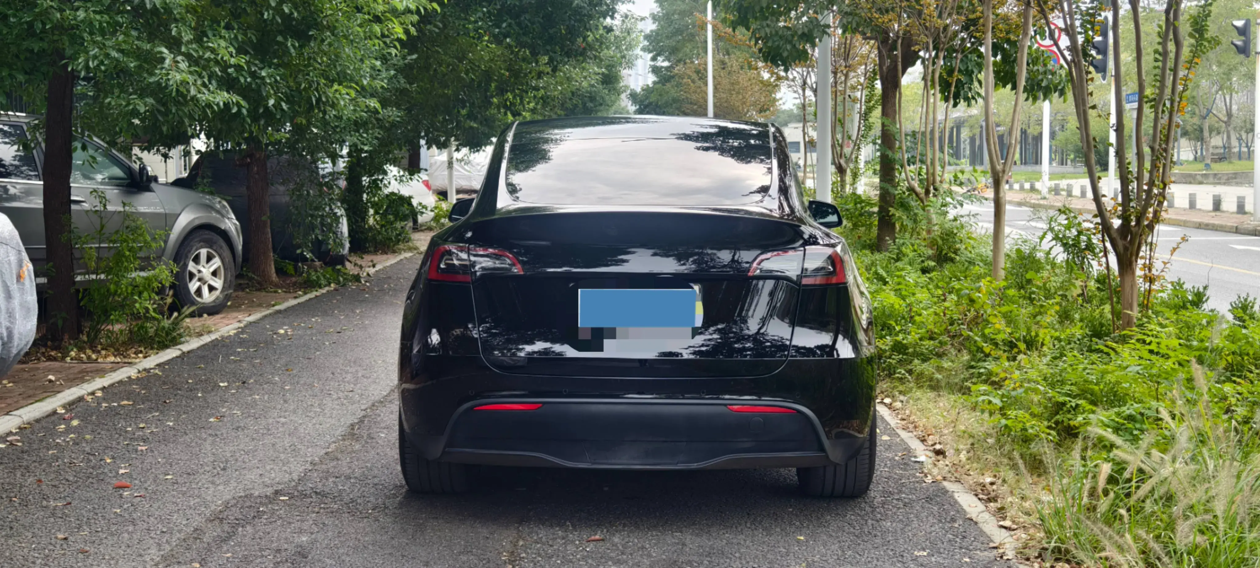 2023 TESLA MODEL thumbnail 3