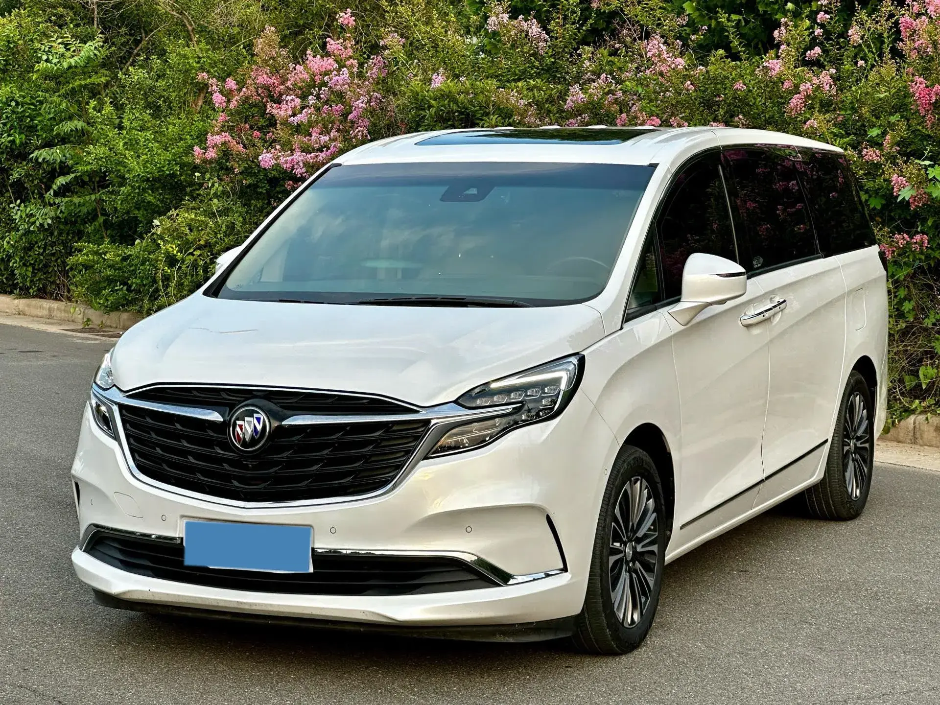 2020 BUICK GL8 view 1