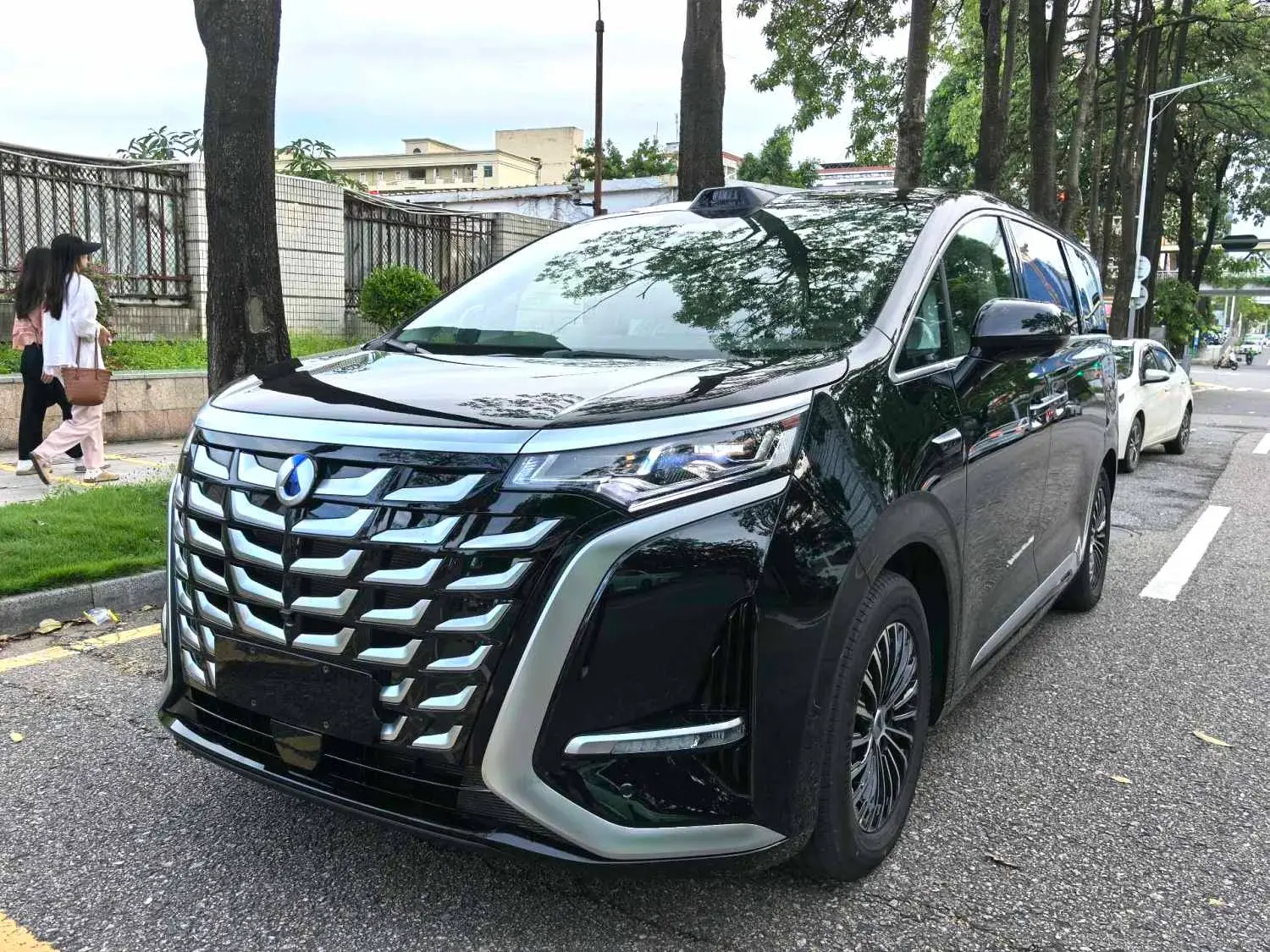 2025 DENZA D9 view 1