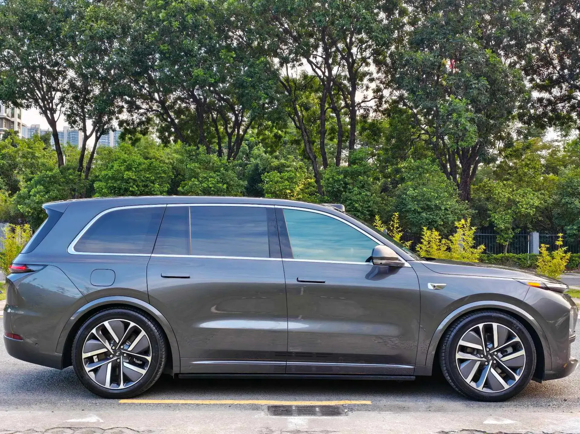 2024 LI L9 thumbnail 4