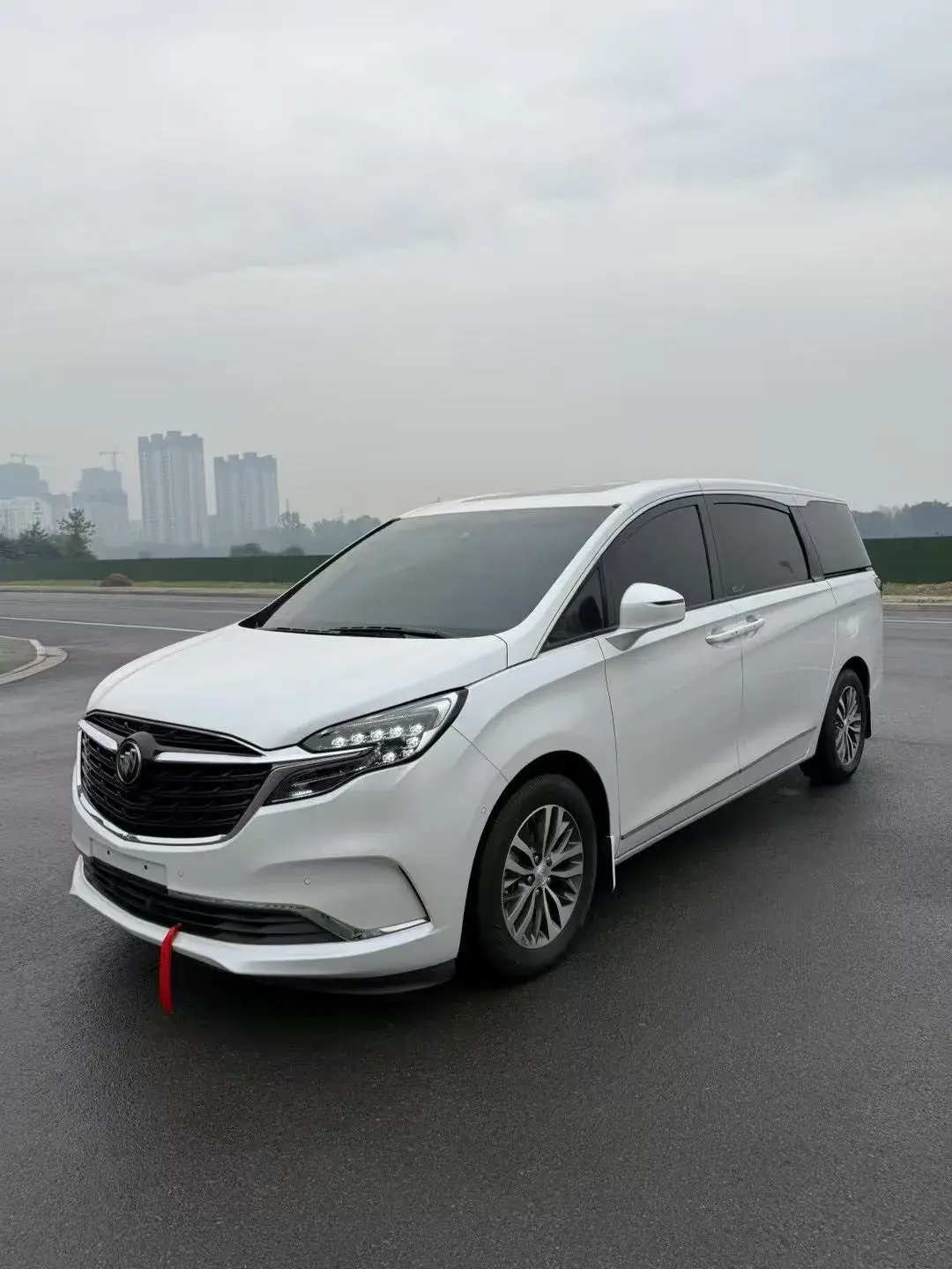 2020 BUICK GL8 view 1