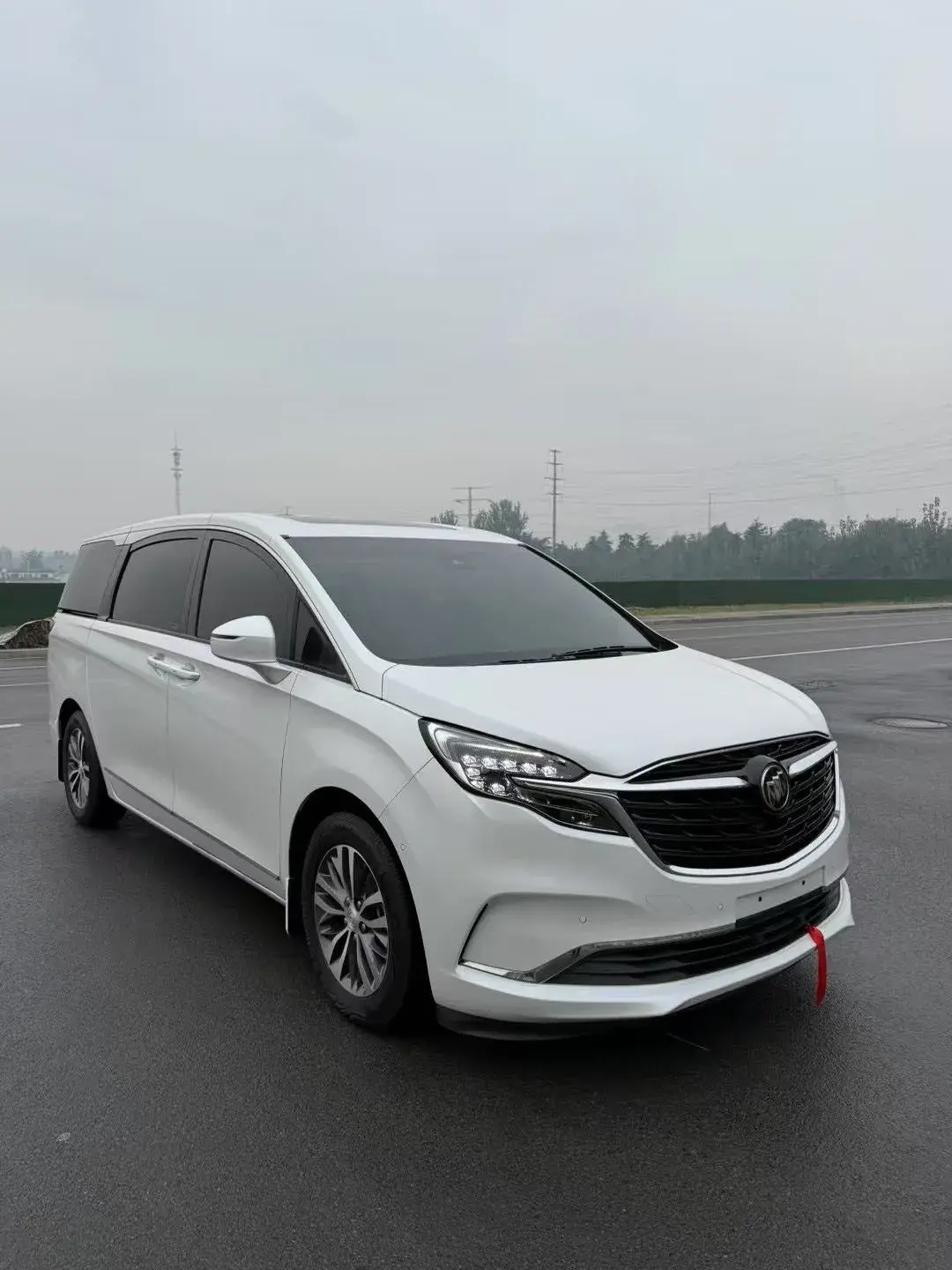 2020 BUICK GL8 thumbnail 2