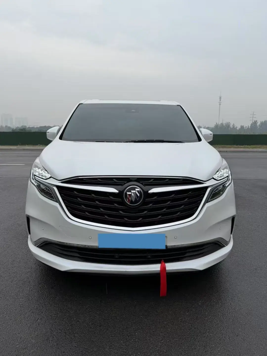 2020 BUICK GL8 thumbnail 3