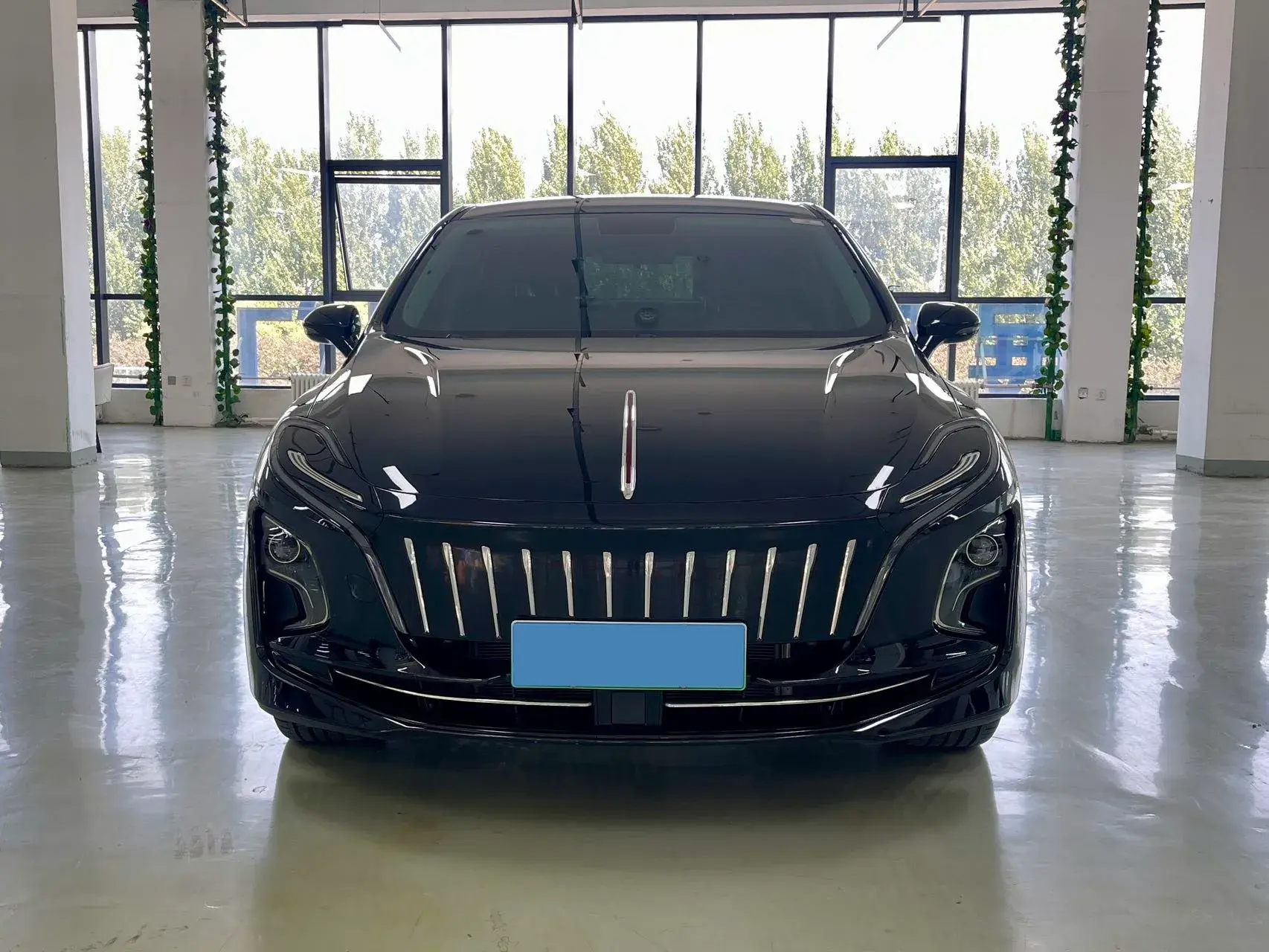 2024 HONGQI E-QM5 thumbnail 3