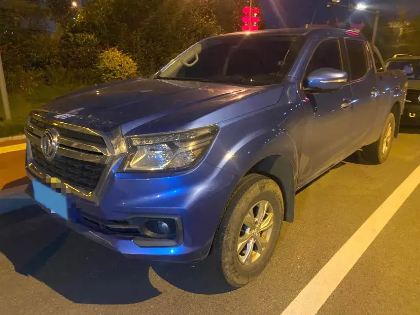 2020 DONGFENG RUIQI view 1
