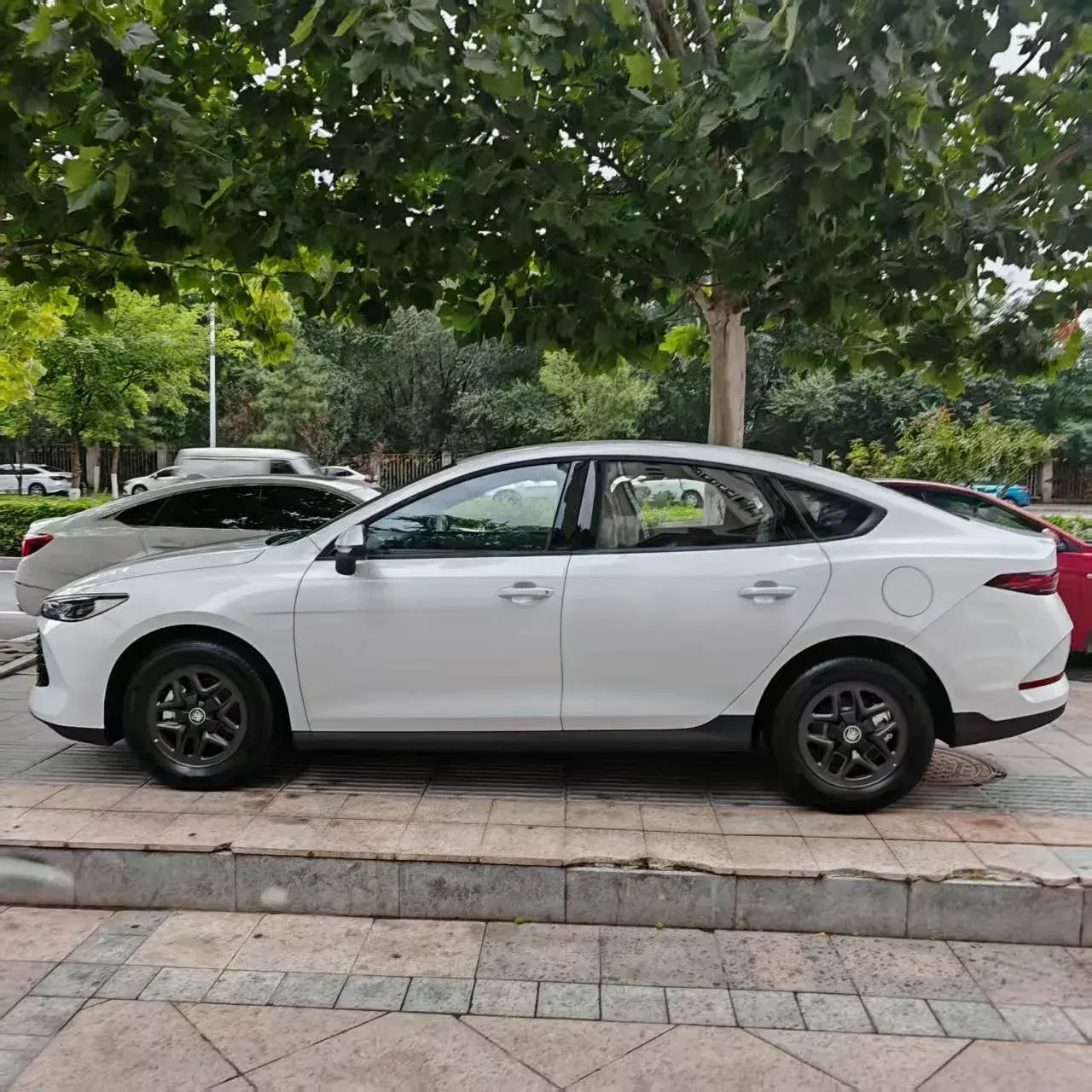 2024 BYD QIN thumbnail 2