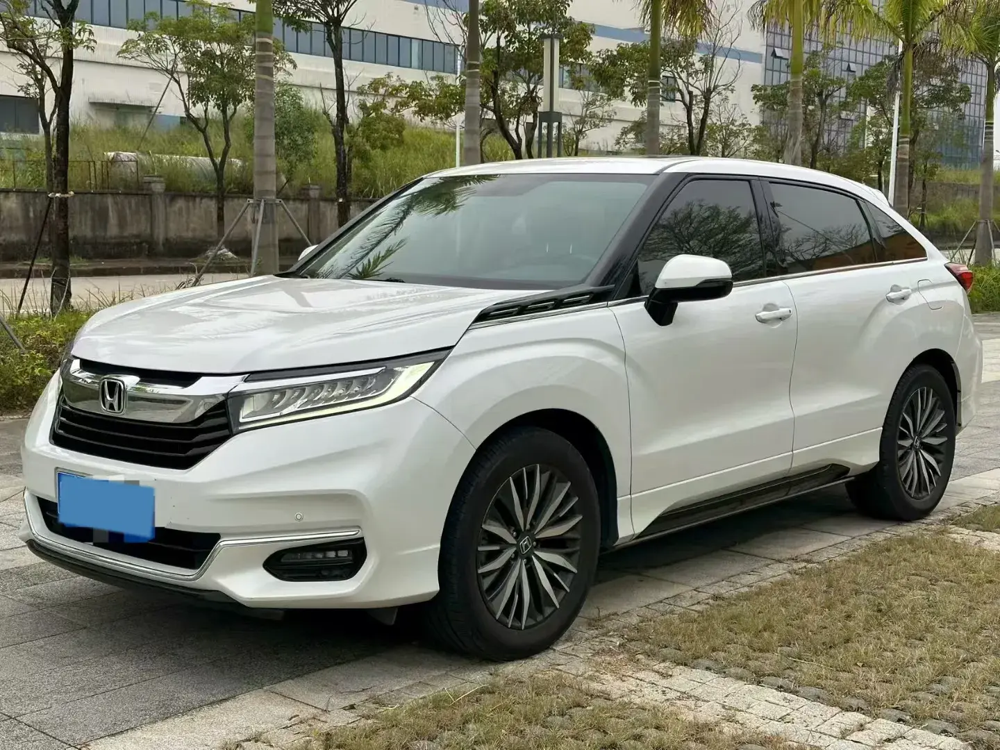 2020 HONDA AVANCIER view 1