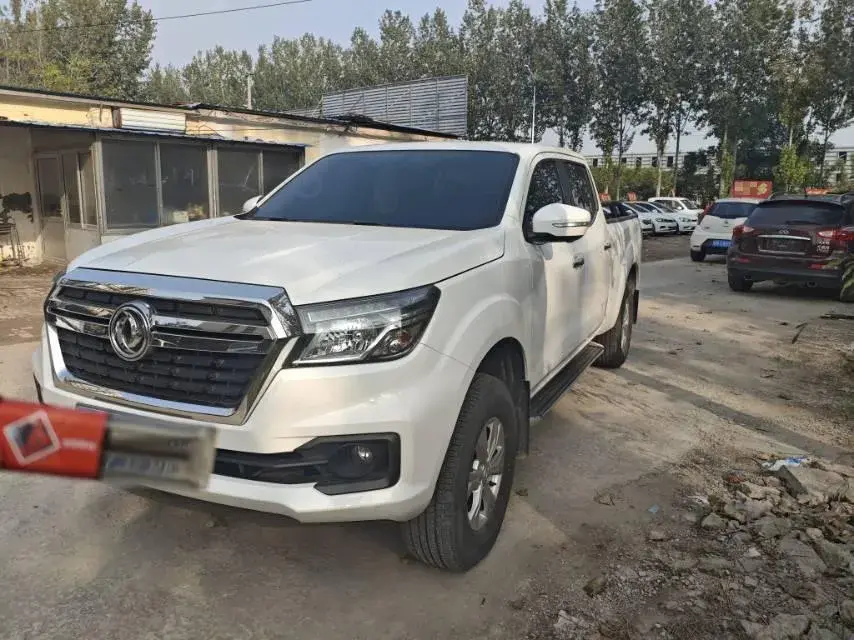 2020 DONGFENG RUIQI view 1