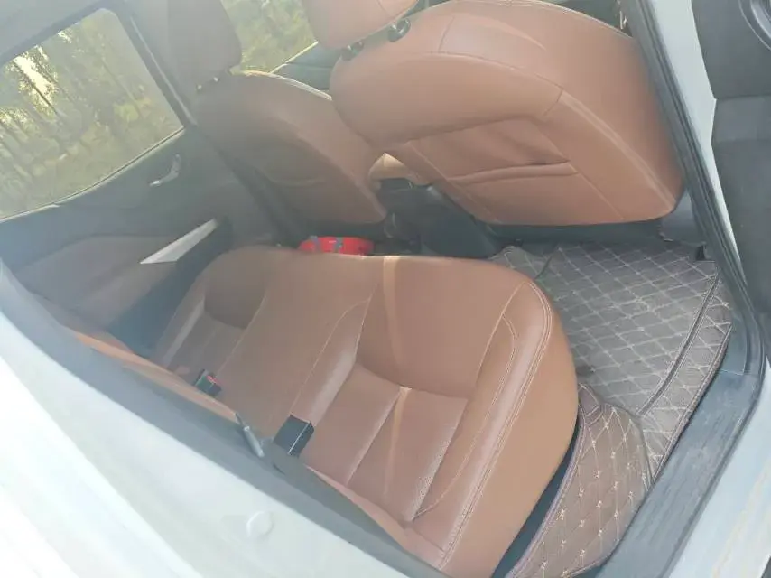 2020 DONGFENG RUIQI thumbnail 4