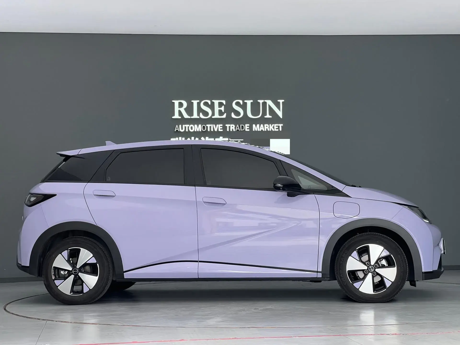 2024 BYD DOLPHIN thumbnail 4