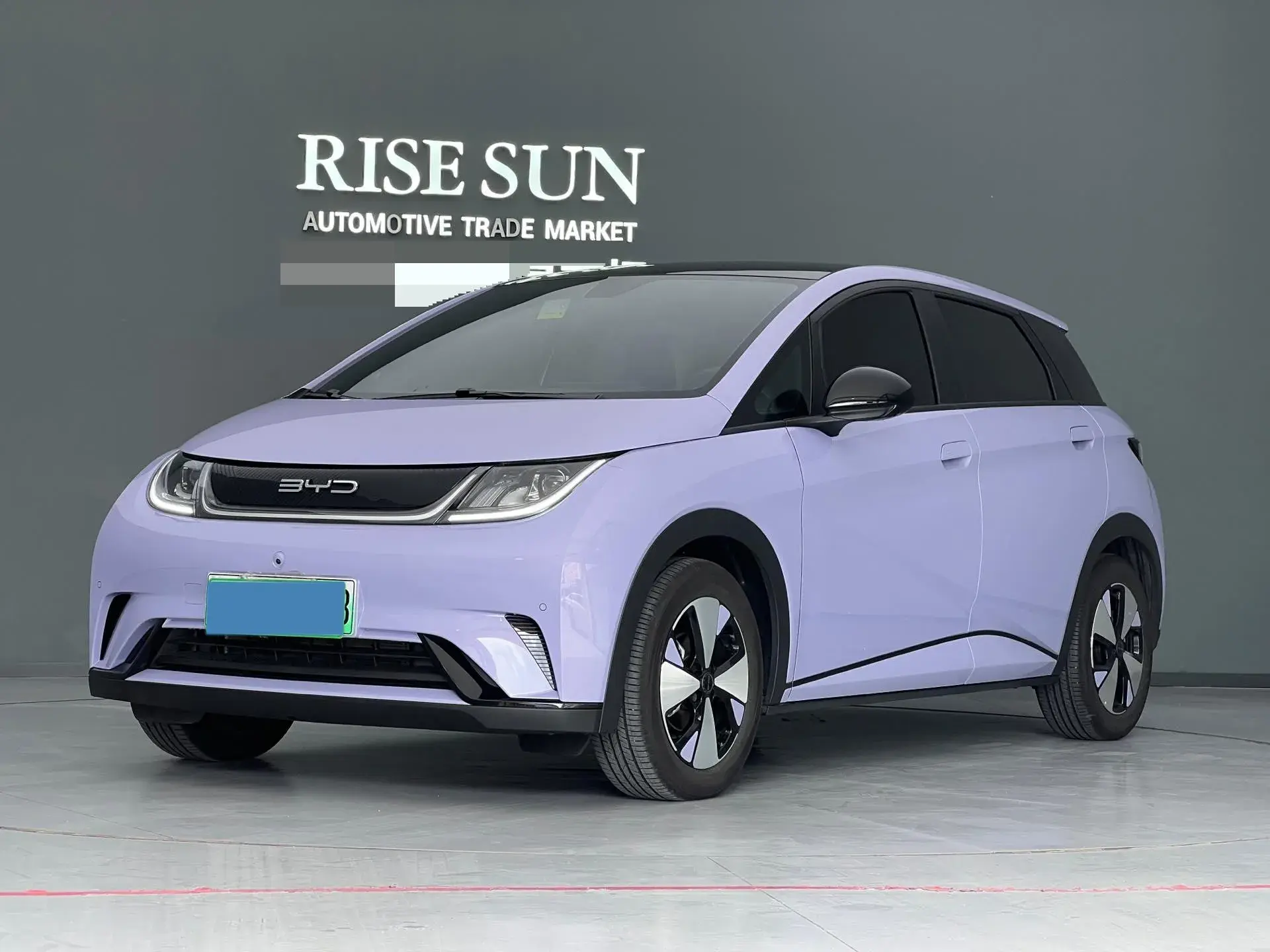 2024 BYD DOLPHIN view 1